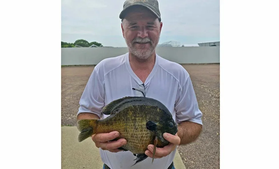 Giant Bluegill Breaks Minnesota State Record. It’s the Second Time This Lake Has Produced a Record Panfish This Year 🐠