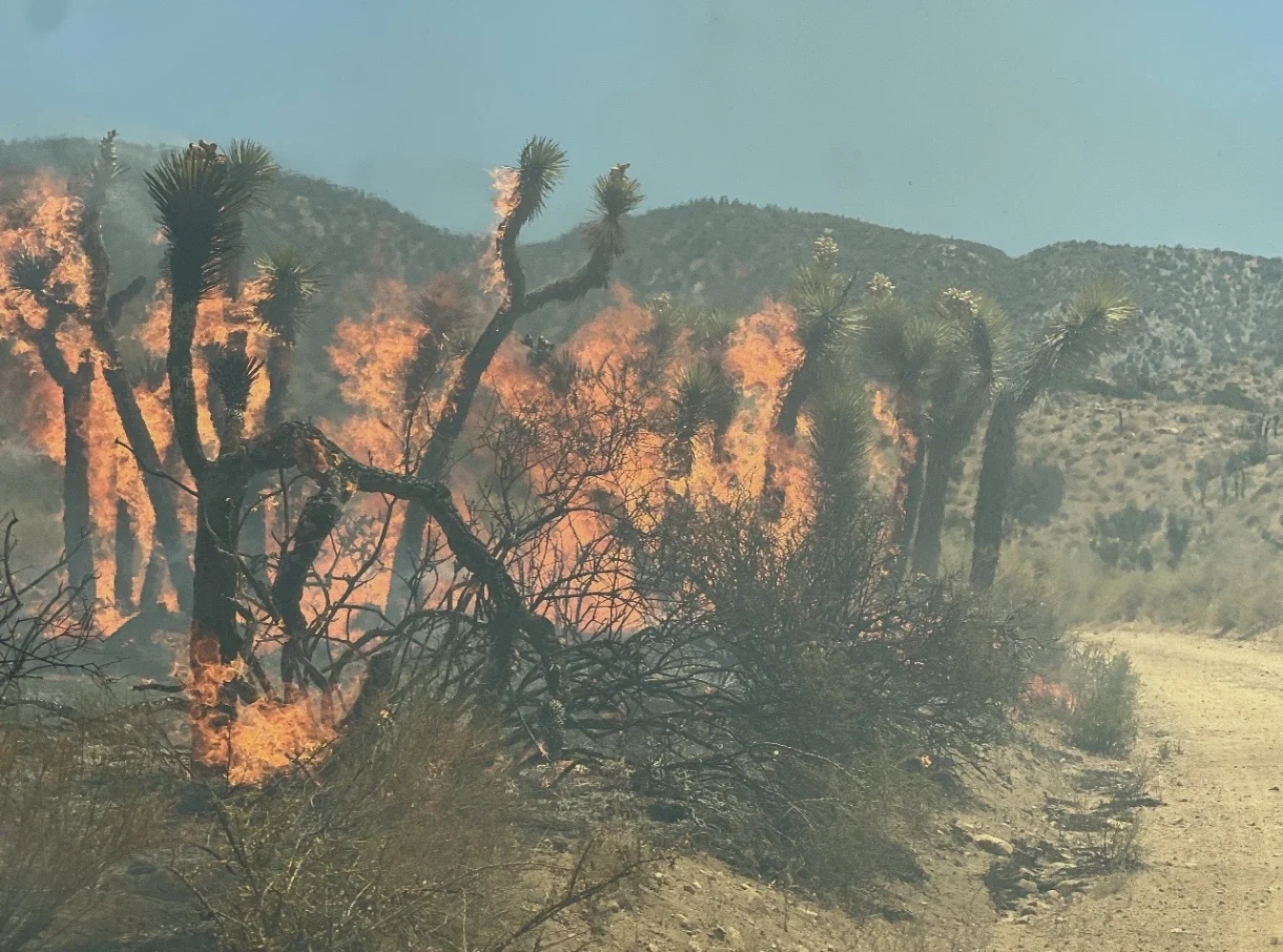 Hot and dry weather could fan Summit Fire in Antelope Valley; evacuations remain in place ☀️