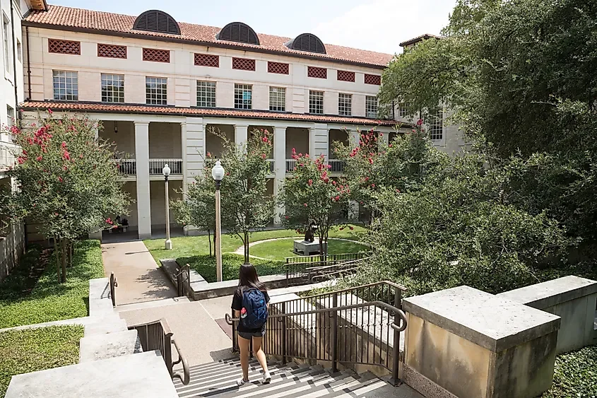 The 10 Largest Universities In The United States 🎓
