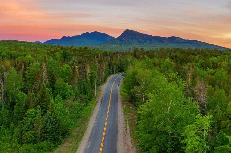 This Is the Most-wooded State in the U.S.—and No, It’s Not Washington or Oregon 🌲