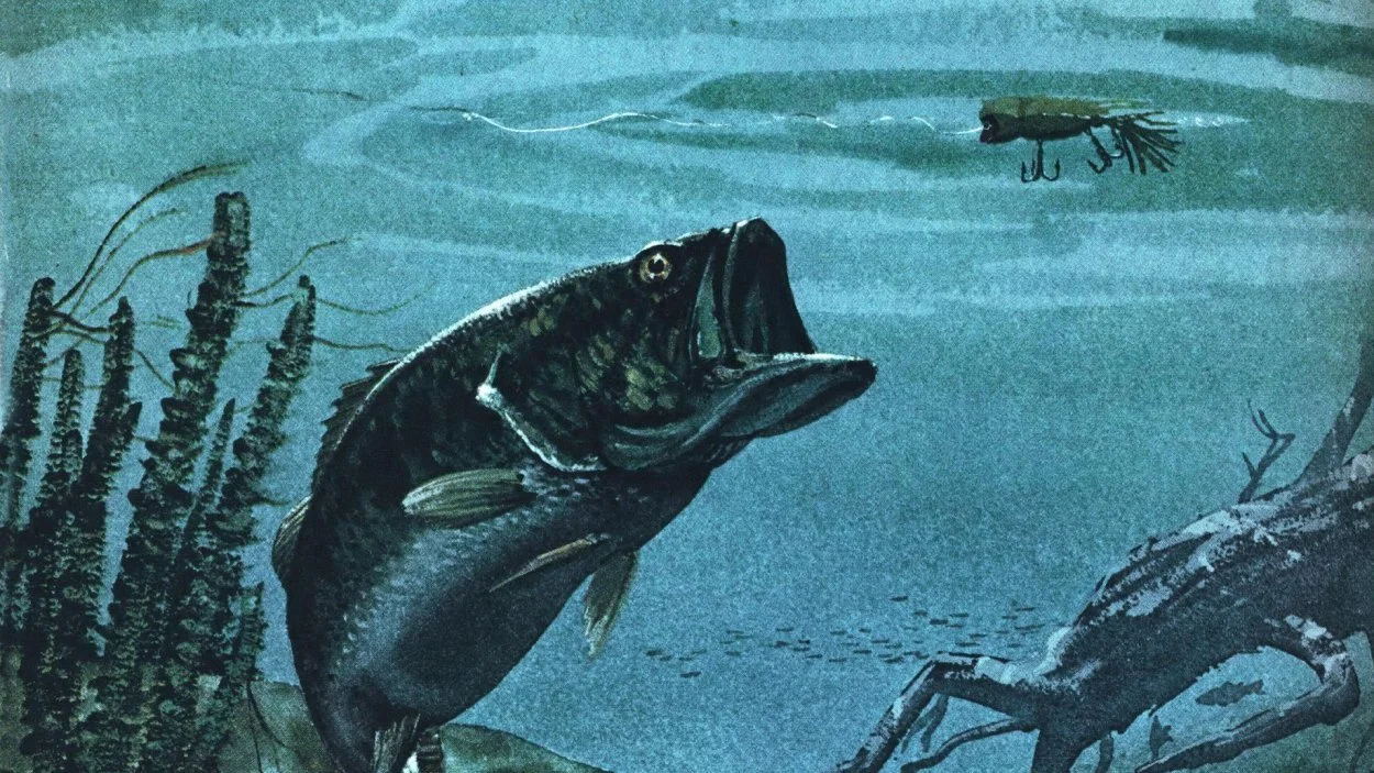 My Logbook of 20,000 Lunkers Shows Exactly Which Lures Catch Big Bass 🎣