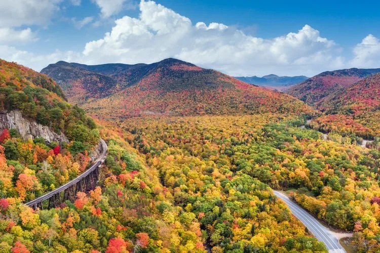 9 National Forests With Spectacular Fall Foliage—and Fewer Crowds Than Many National Parks 🍁
