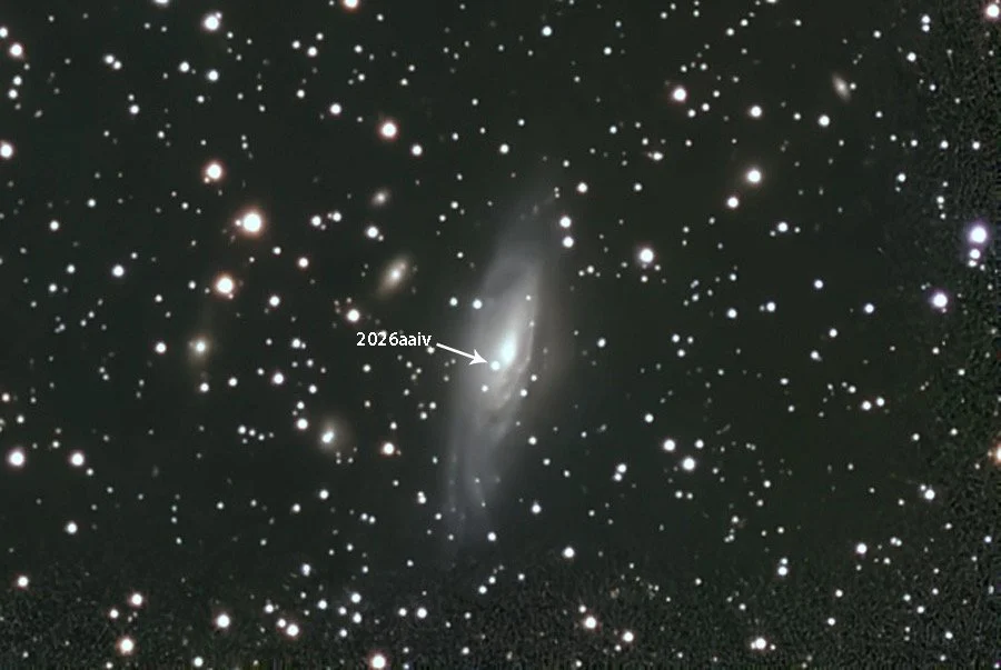 SECOND BRIGHT SUPERNOVA IN SPIRAL GALAXY NGC 7331 IN A YEAR