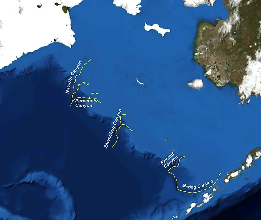 The Underwater Canyons Off The US Coast