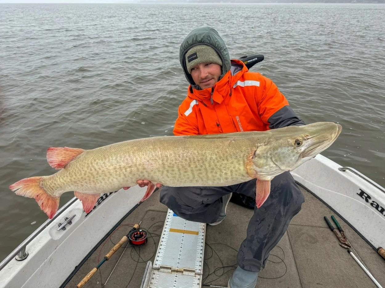 Old-School Fall Muskie Tactics. How to Catch Giants Without FFS
