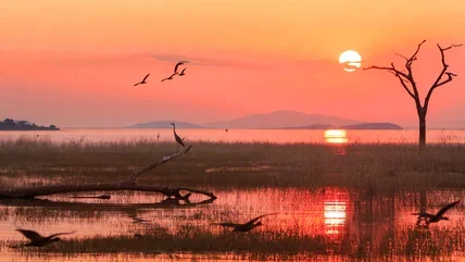 The World's Largest Artificial Lake By Volume Is A Scenic Oasis With Unique Wildlife And Fishing