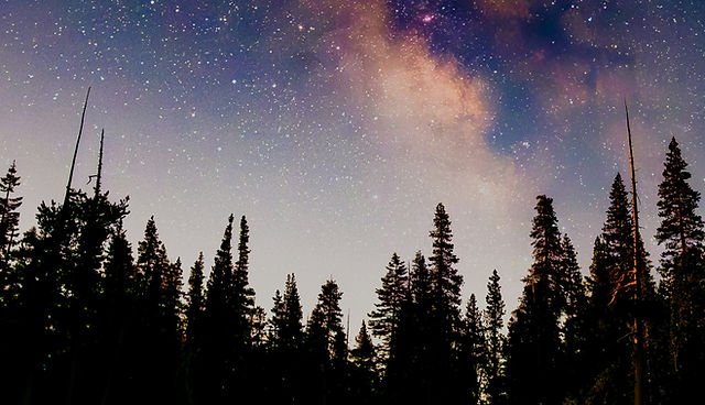 Discover some of North America's darkest skies through stargazing, weekly Park After Dark programs, the annual Voyageurs Star Party, and unforgettable nights on Kabetogama Lake.