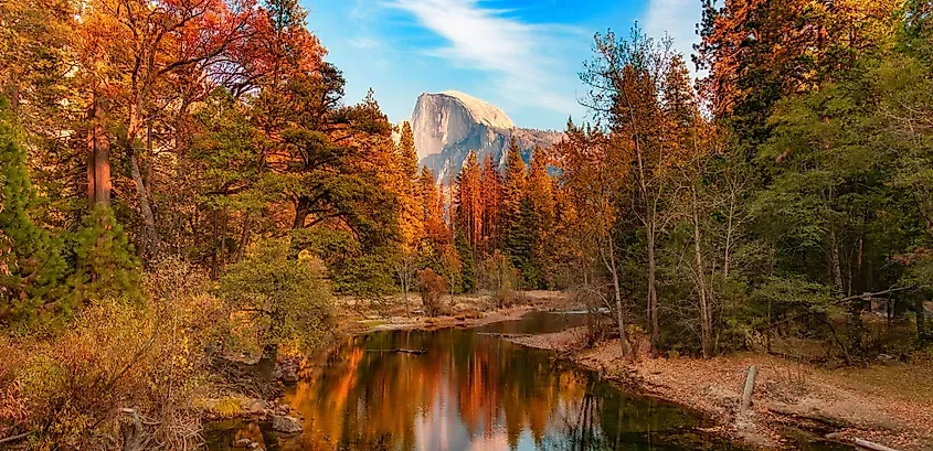 The National Parks Where Aspens Turn First