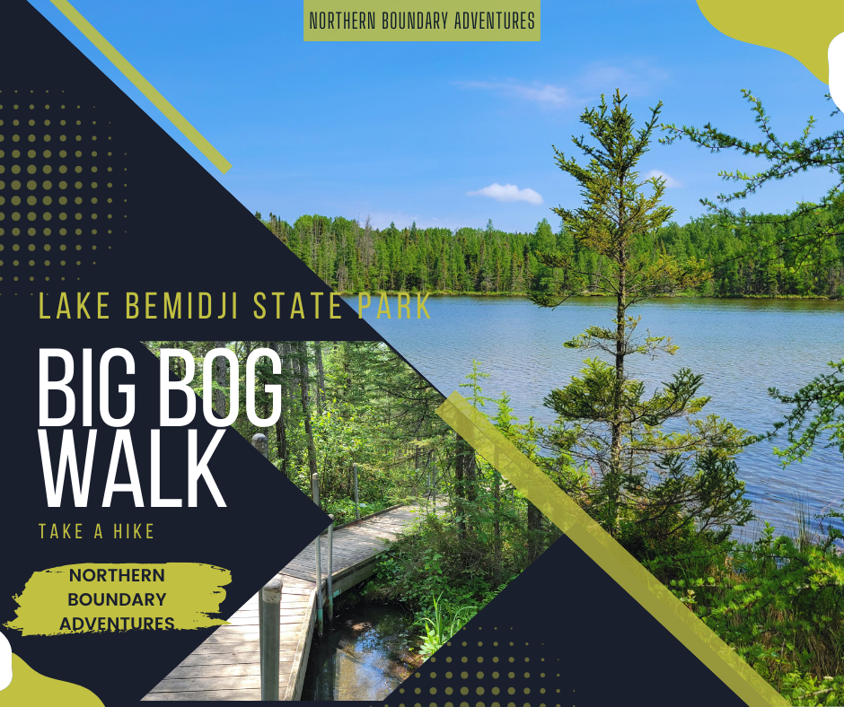 Big Bog Walk at Lake Bemidji State Park