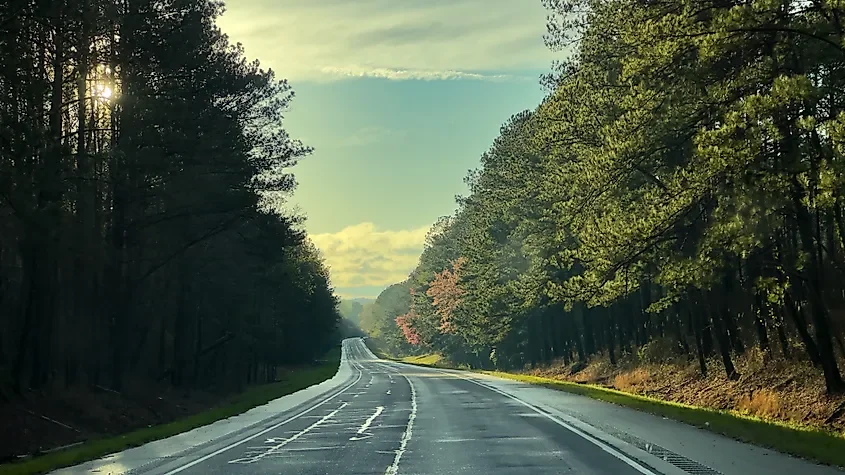 The Smallest National Forest In The United States