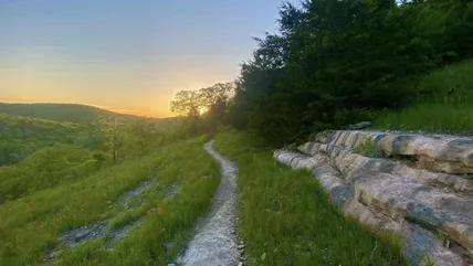 8 Vibrant Parks Near Branson For Scenic Views And Outdoor Fun In The Ozark Mountains