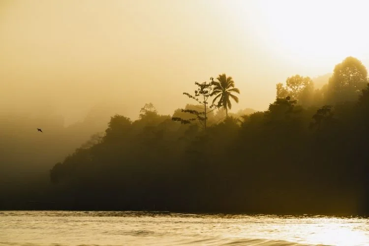 This Wild Corner of Borneo Has Orangutans, Pygmy Elephants, and Coral Reefs—and a New Kind of Luxury