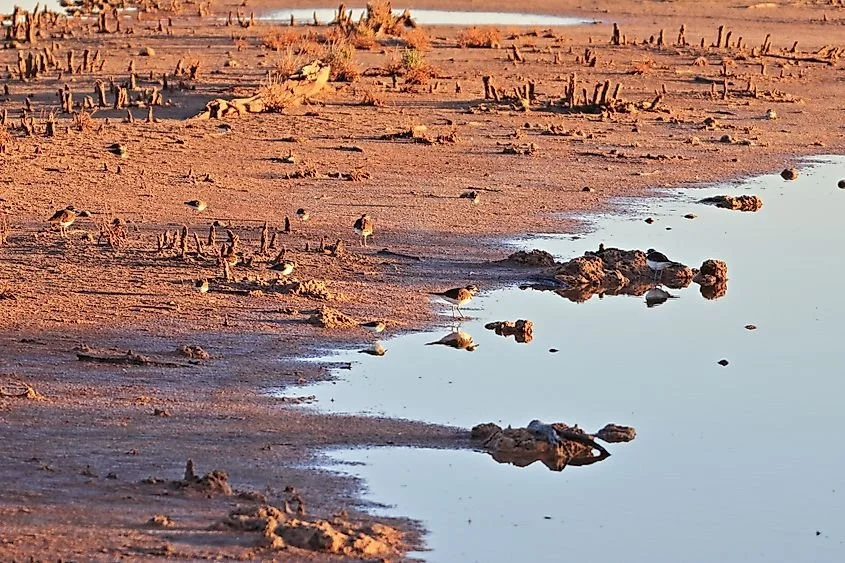 The Saltiest River In The United States