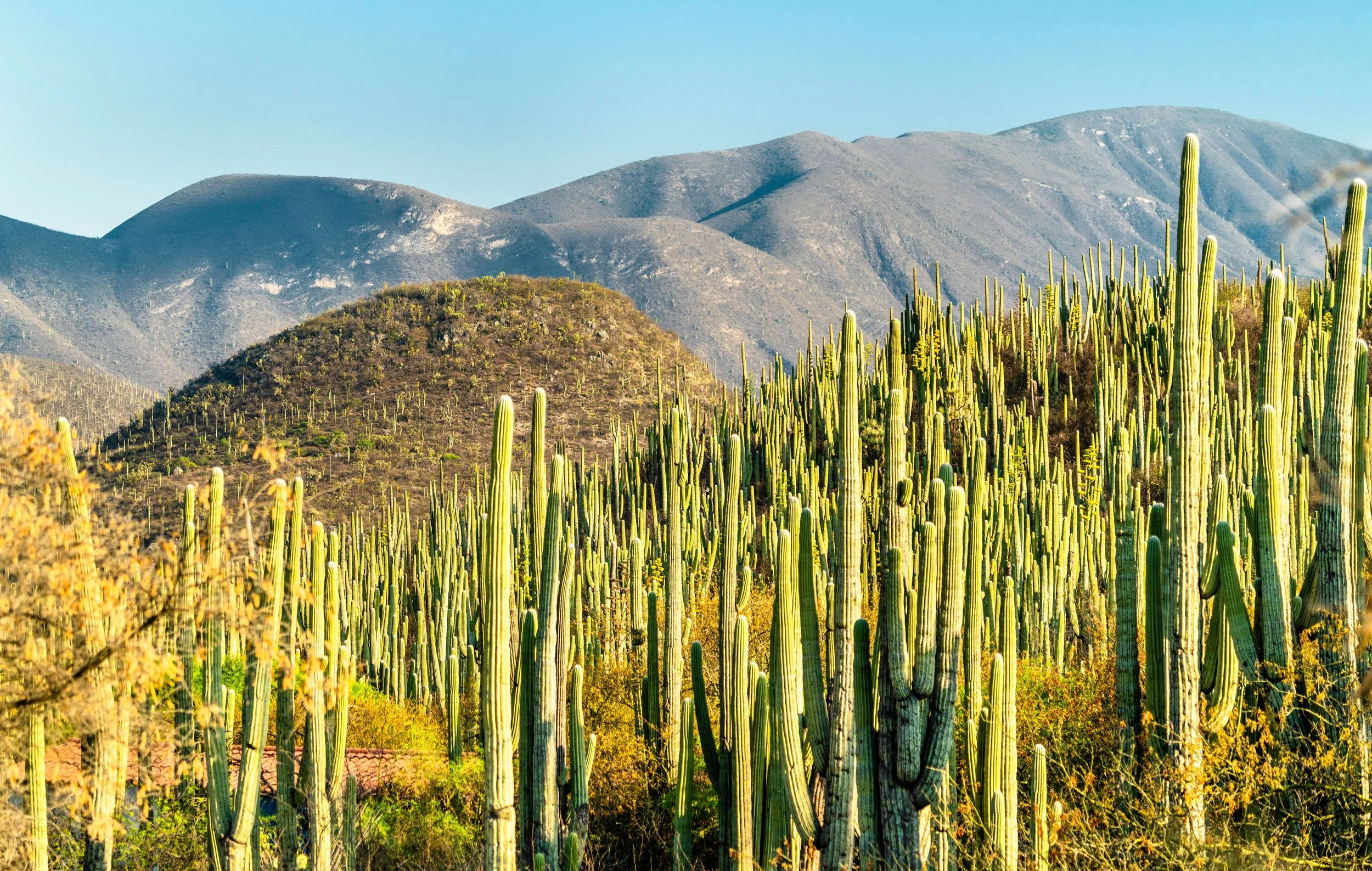  Tehuacán Travel Guide