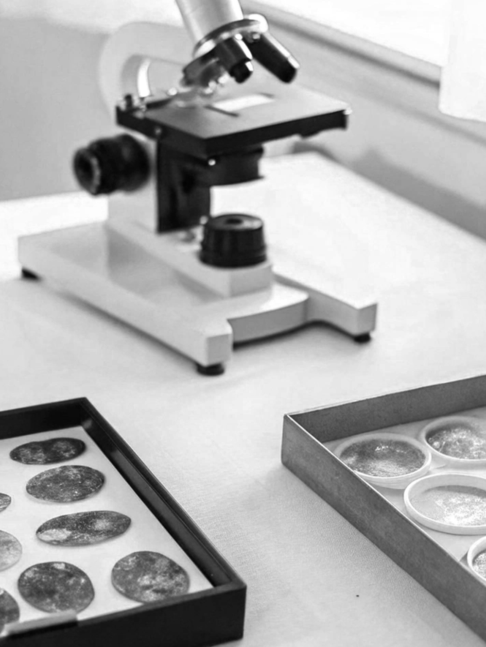 Microscope with petri dishes containing samples on a laboratory table.