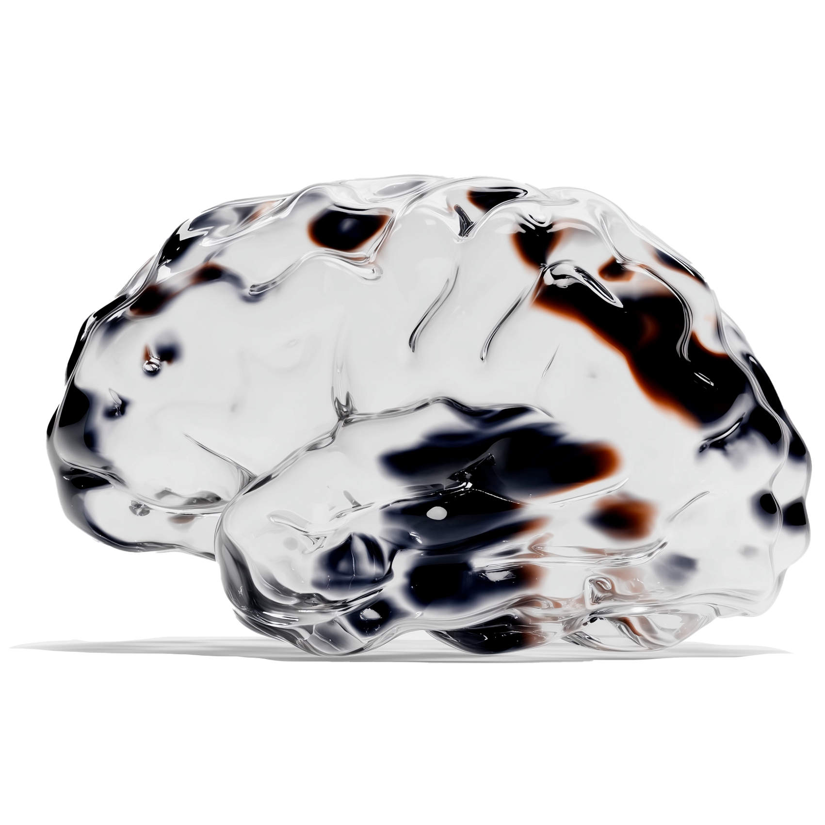 A sculpture or object resembling a human brain made of clear material with black and brown accents, placed on a black background.