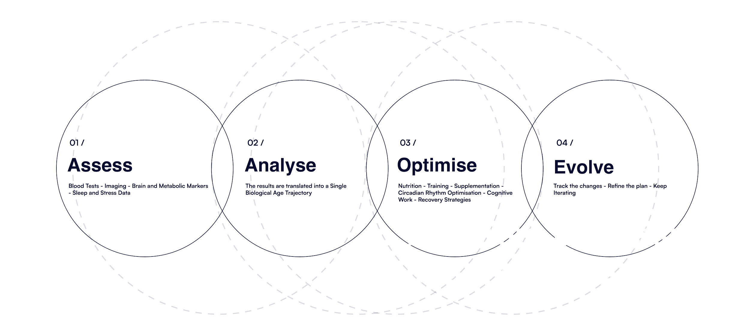 A diagram illustrating the four steps of progress: Assess, Analyse, Optimise, Evolve. Each step includes specific actions, such as blood tests, brain and metabolic markers, sleep and stress data for Assess; biological age, trajectory for Analyse; nutrition, training, supplementation, circadian rhythm, cognitive work for Optimise; and tracking changes, refining plans, and keeping iterating for Evolve. The diagram emphasizes progress over promises with the phrase, "It's about progress, not promises."