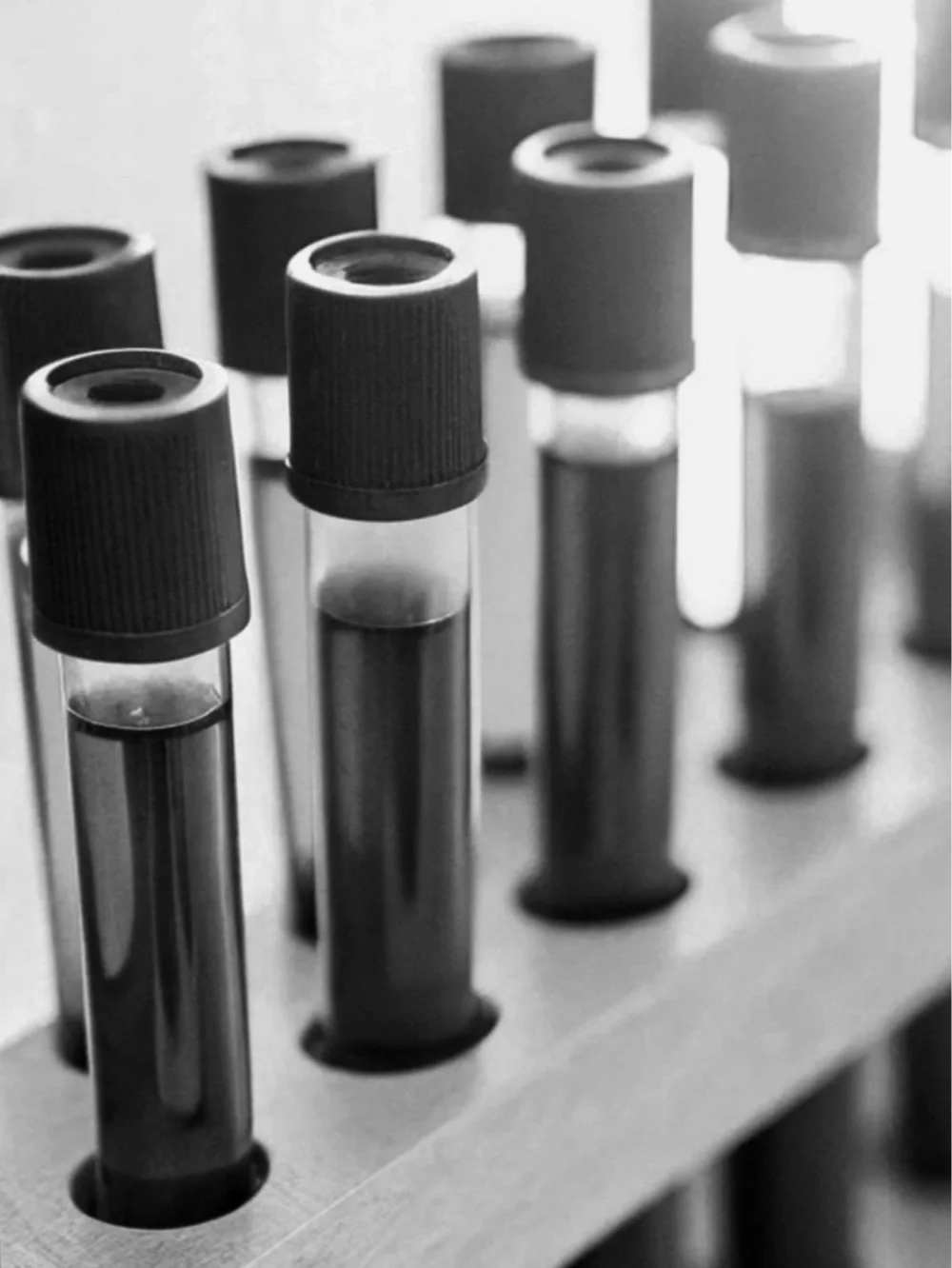 Close-up of test tubes with black caps in a laboratory setting.