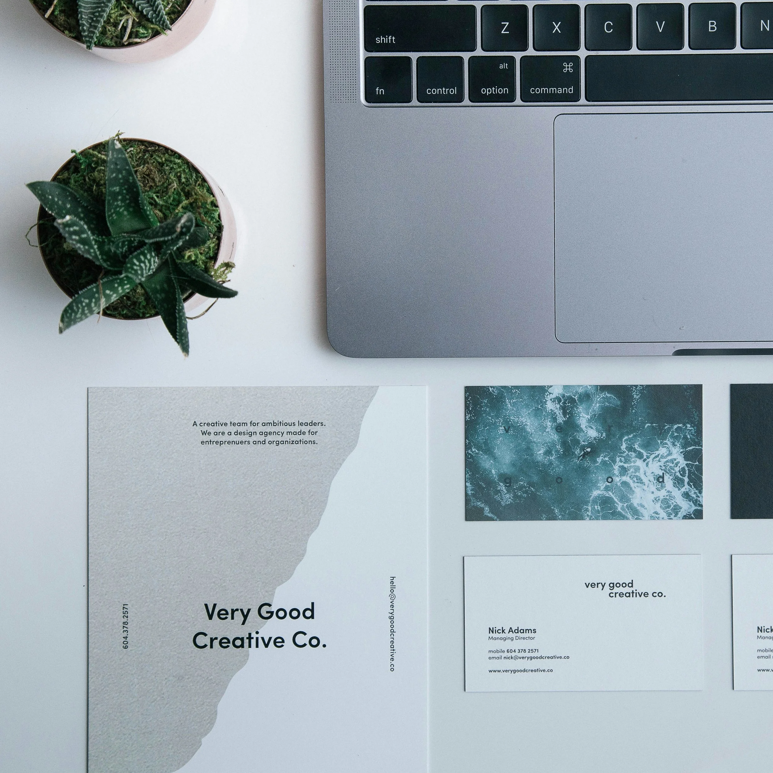 A flat lay of a workspace with a silver laptop, two potted succulents, and printed materials including a brochure and business cards on a white surface.