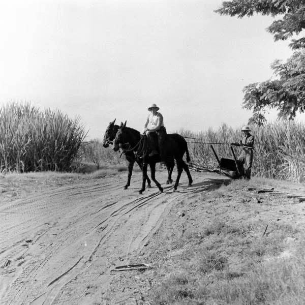 Life Magazine (31).JPG