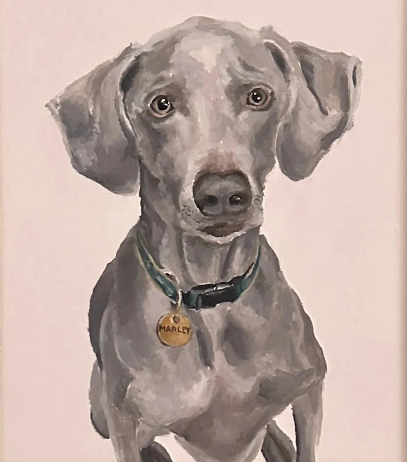 Painting of a gray dog with a black collar and a gold tag that reads 'Marley'.