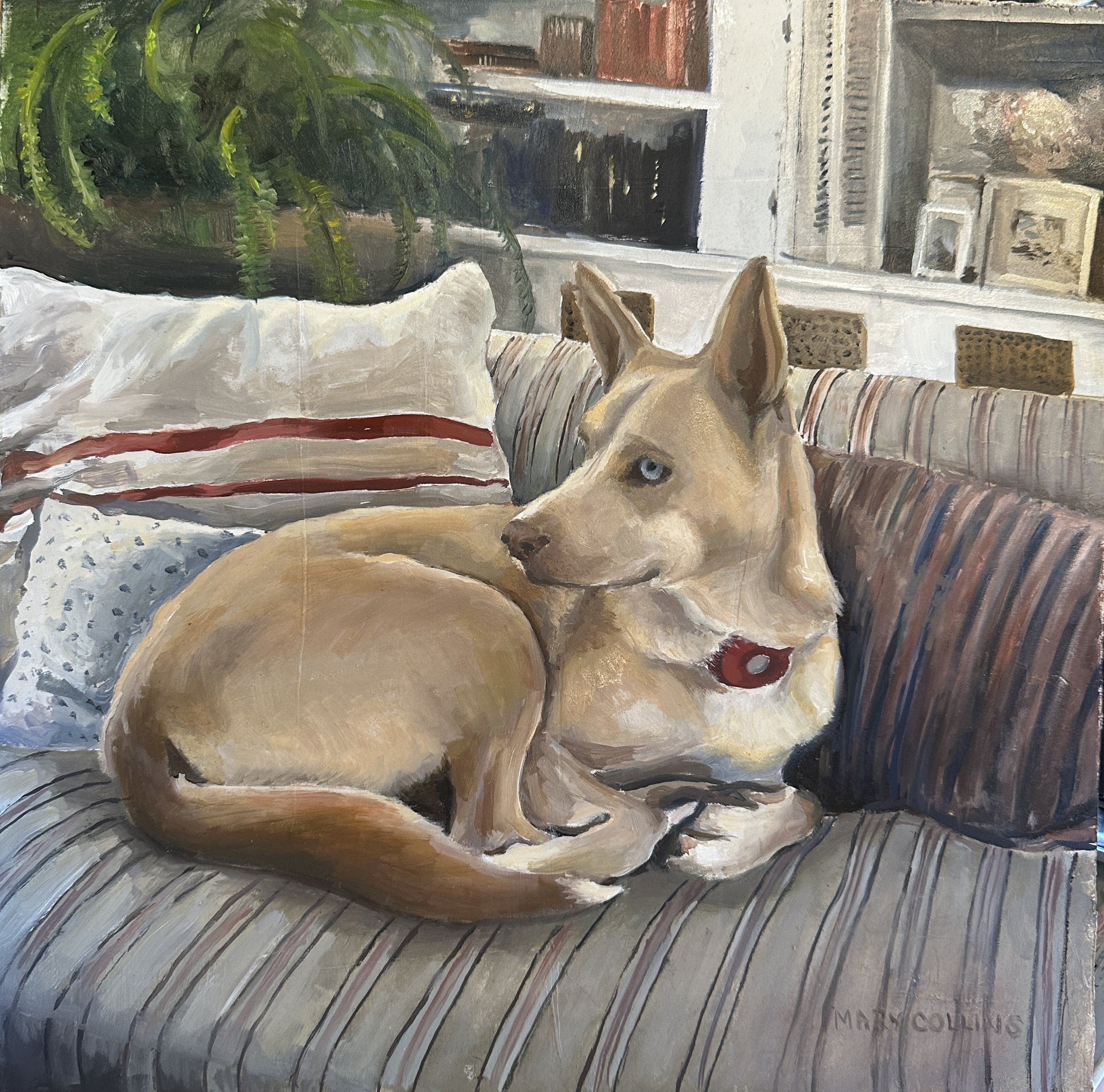 A painting of a tan dog with blue eyes sitting on a striped sofa next to pillows, with a window and a bookshelf in the background.