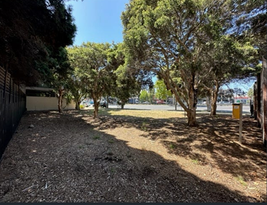 Site photo Source: City of Port Phillip