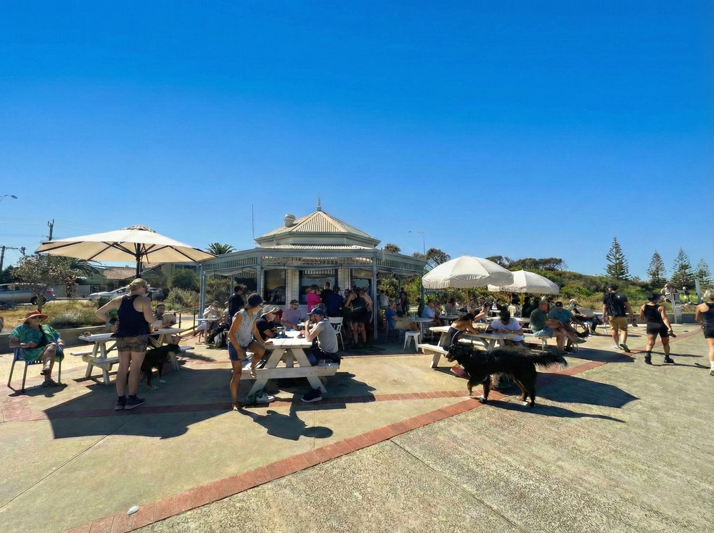 Elwood Foreshore kiosk activation