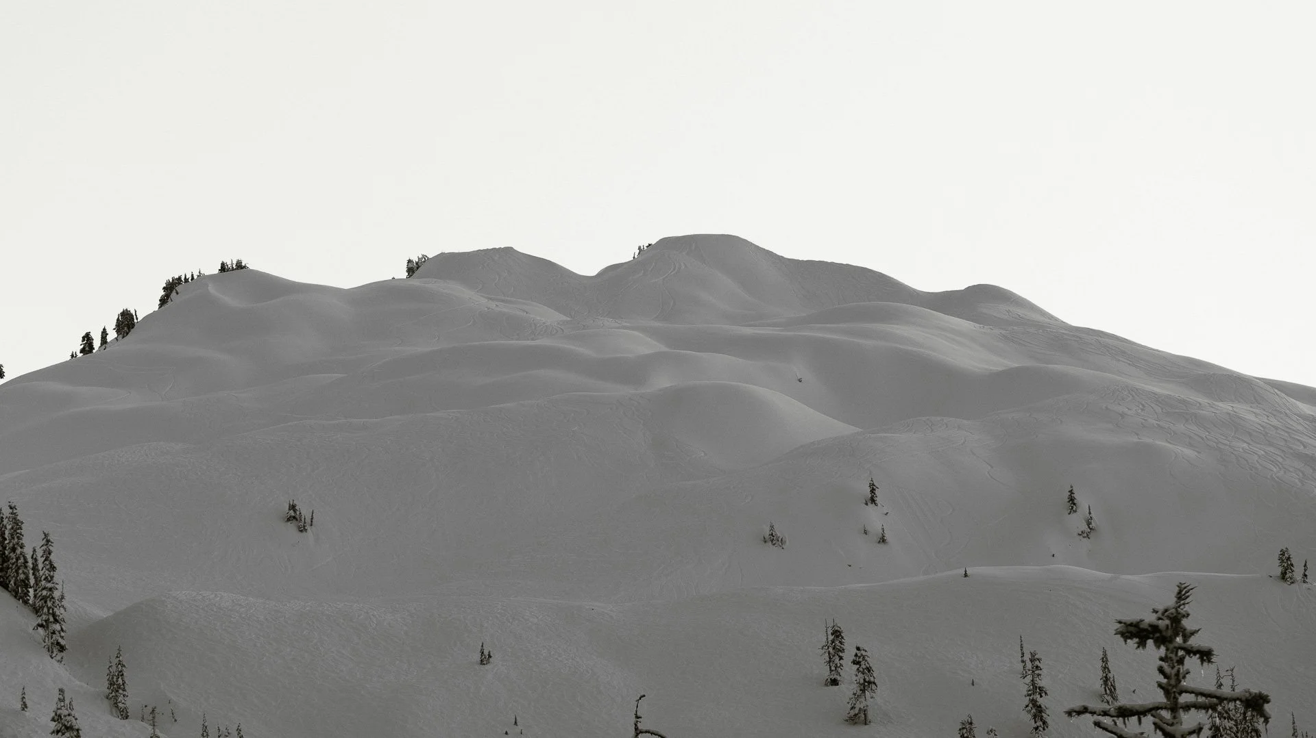 dylan-parr-media-mtbaker-3.jpg