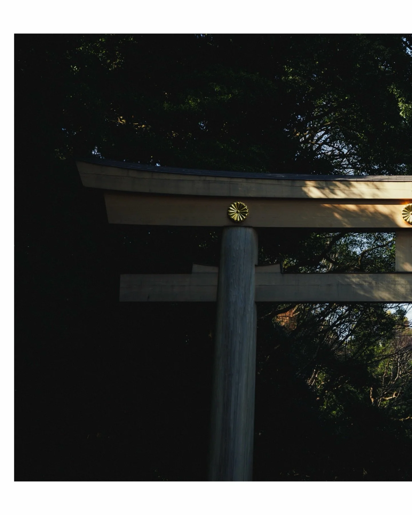 A tranquil escape from the bustling streets of Tokyo, almost forgot we were in one of the largest cities in the world for a minute. More Japan photo spam coming your way, just too many photos not to post.