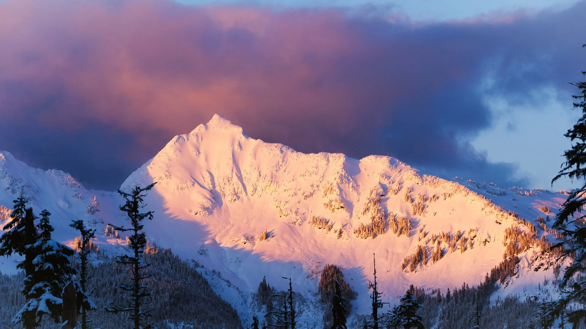 dylan-parr-media-mtbaker-2.jpg