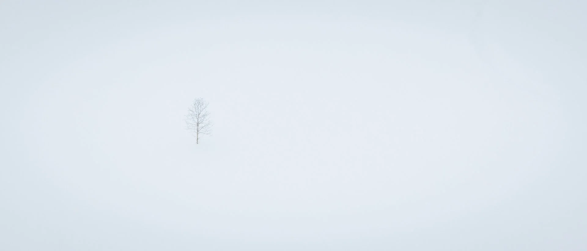 DPM-Scenery-Along-The-Way-5.jpg