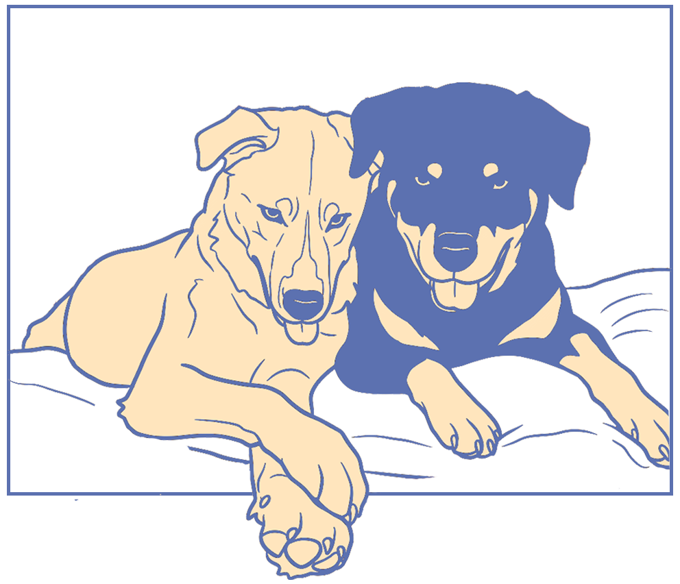 Charlie and Rigel (Bunny + Rye)