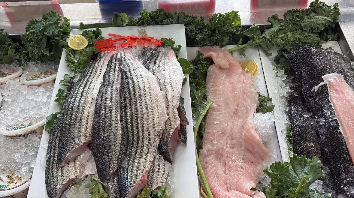 Oranssi project: passive house