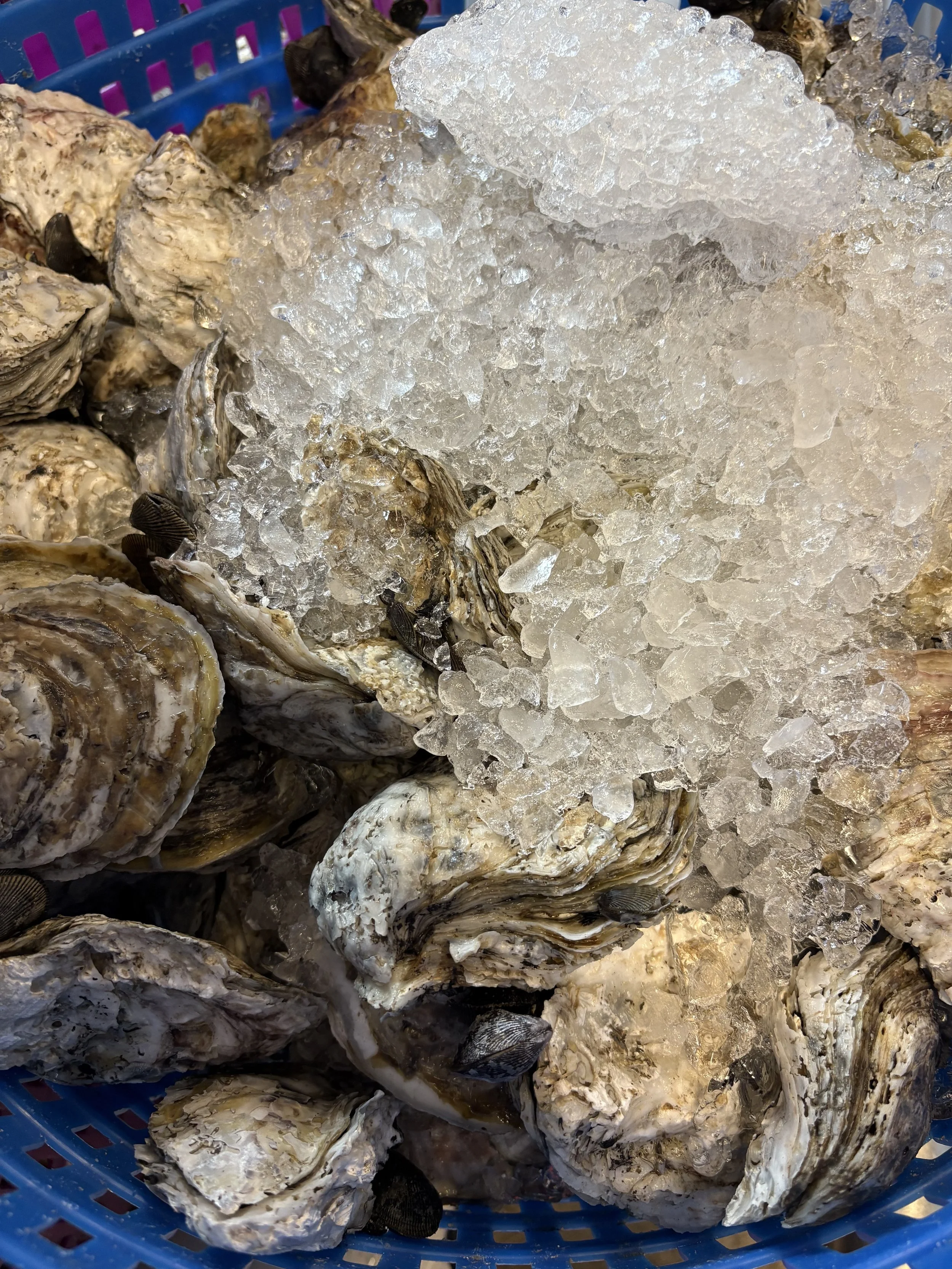 Oranssi project: slat roof