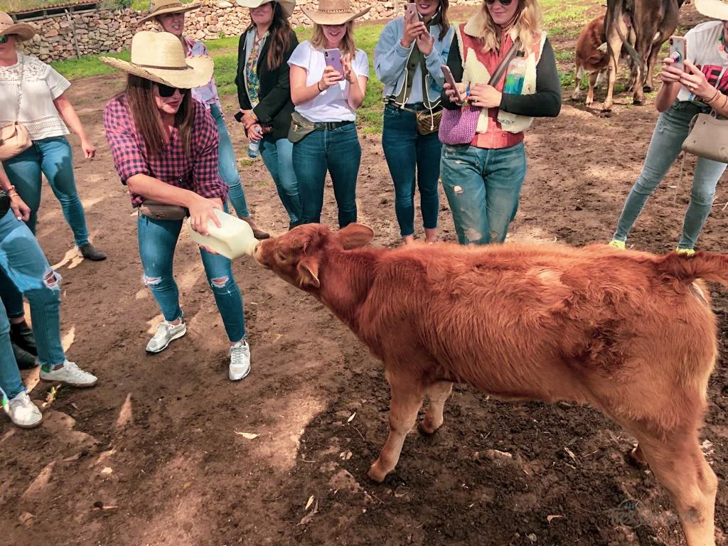 Horseback Riding in San Miguel de Allende