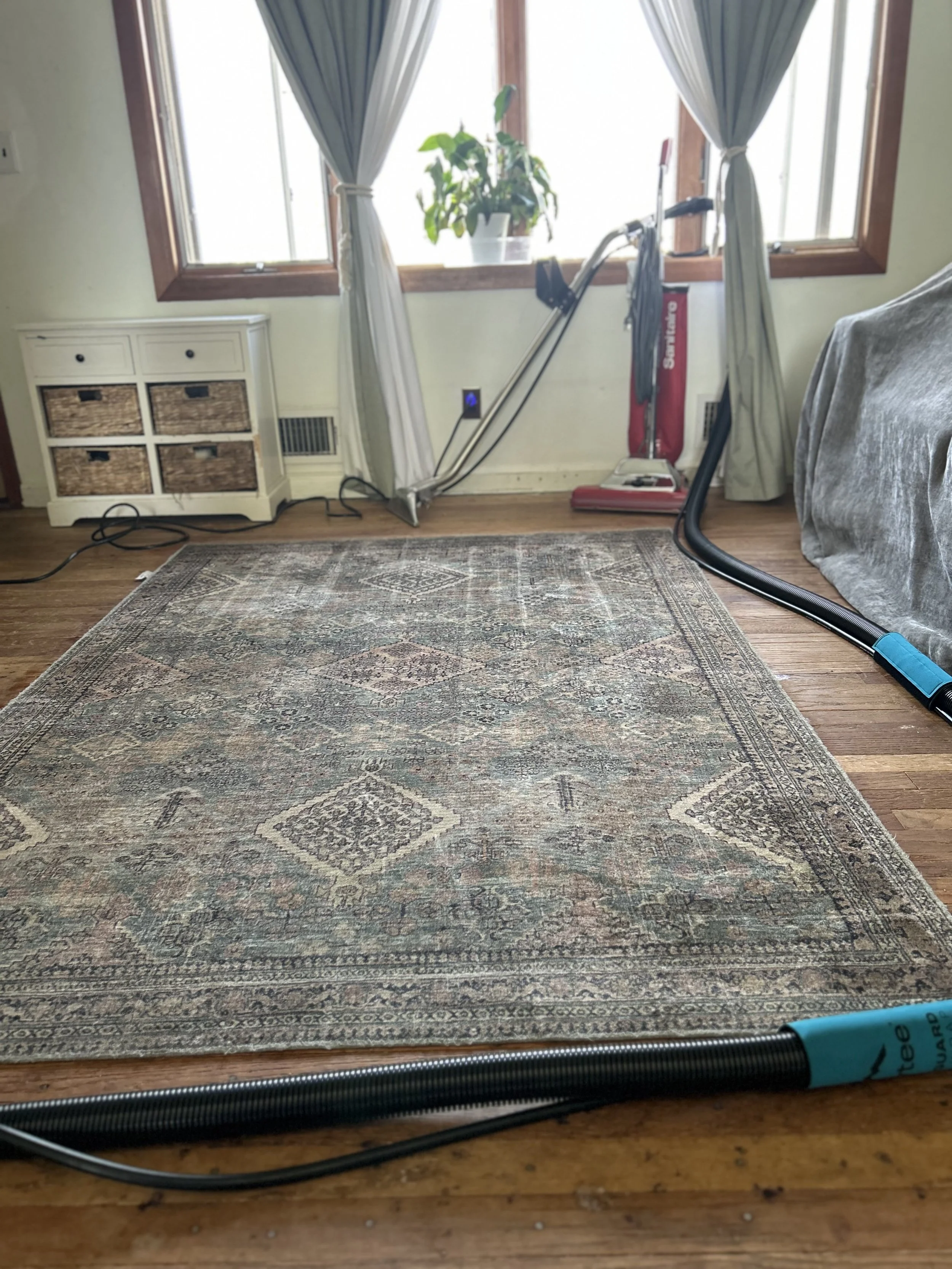 Spotting & Emergencies!