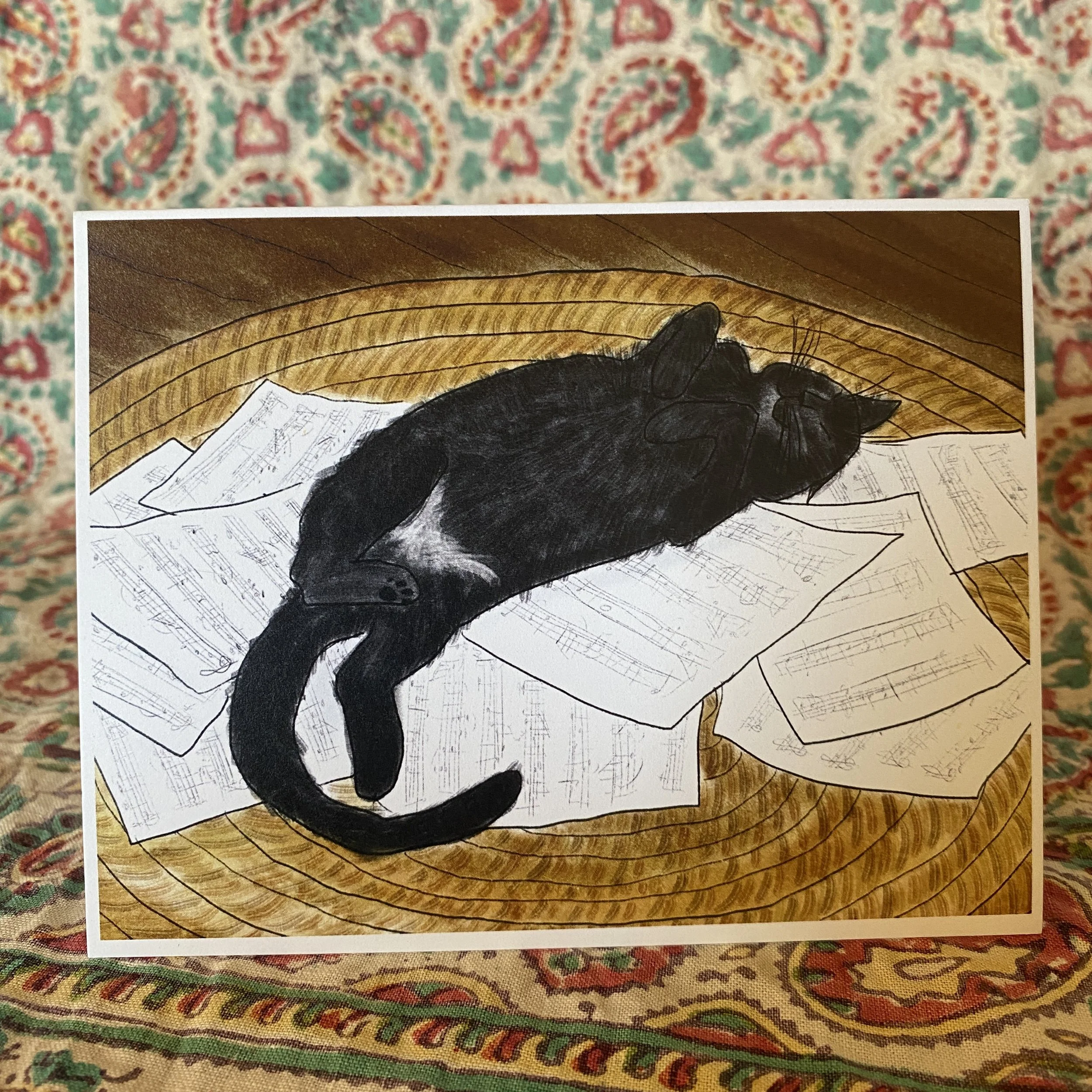 cat tummy card