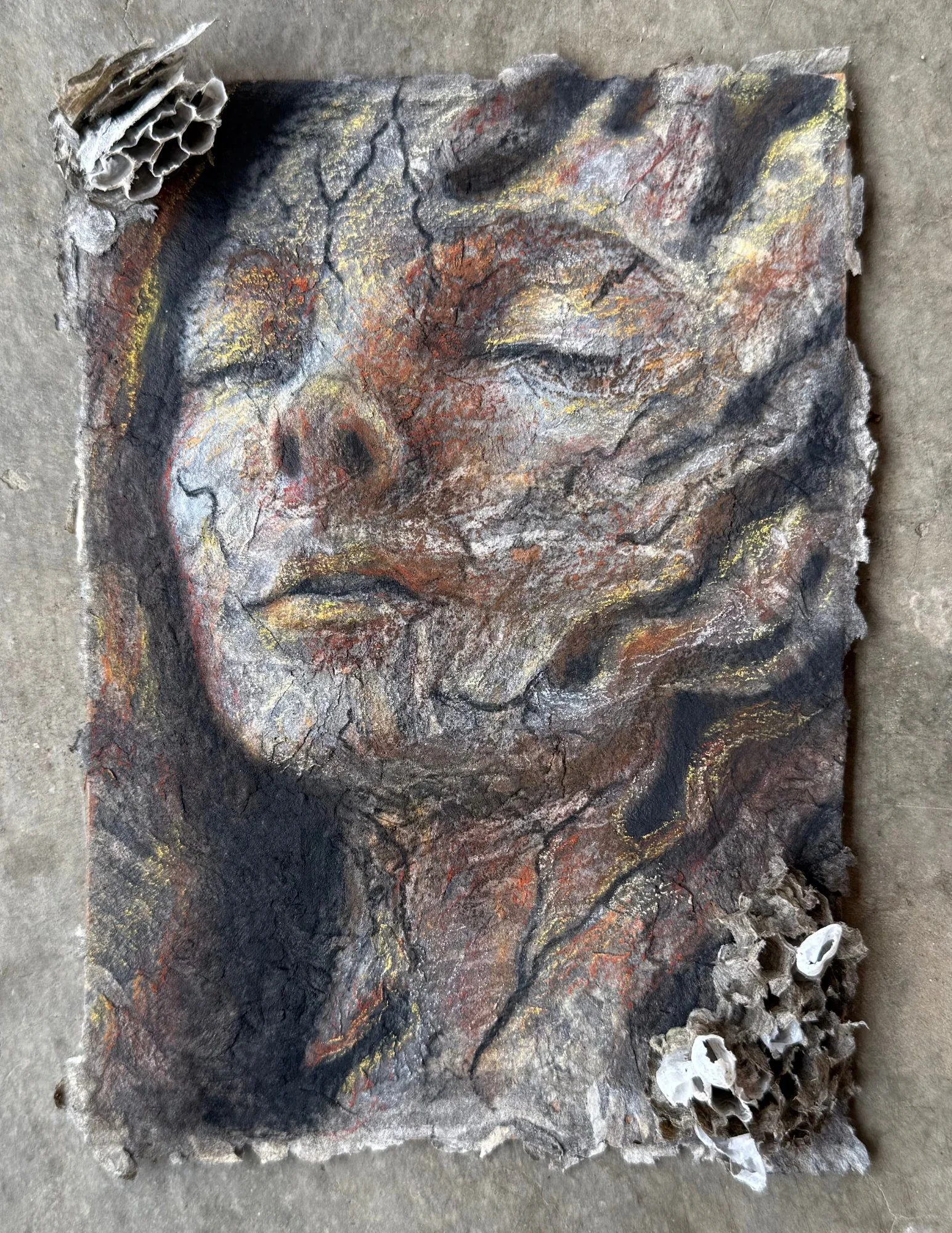 Emergence I | pastel on hornet's nest paper | 5 x 7 inches | 2025