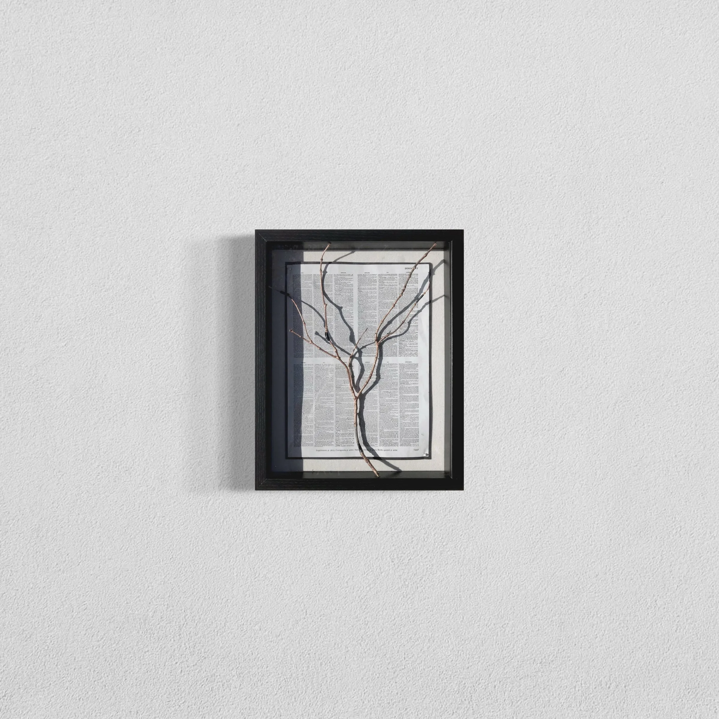 

The Solitude of Strength | paper, ink, tree and tape | 2019 | 11 x 14 in