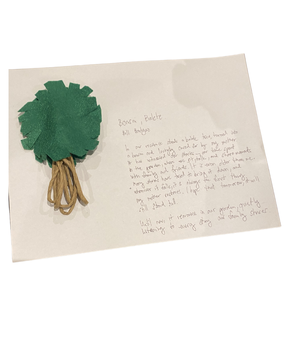 Bonsai, Balete - Bill Bontigao