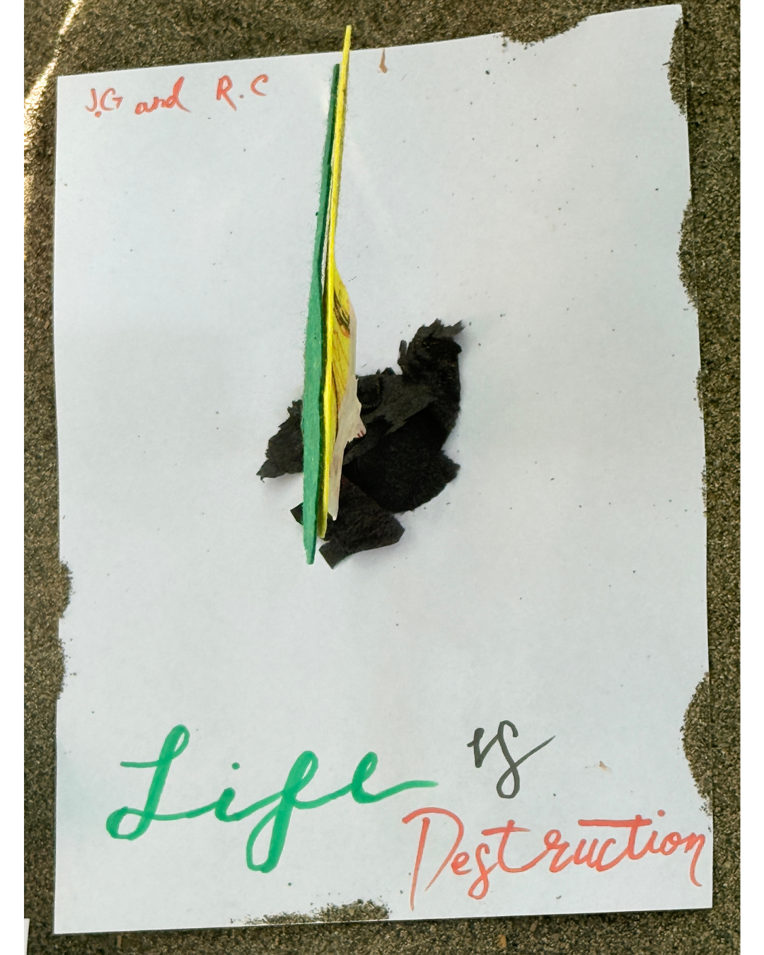 Life is Destruction - J.G. + R.C.