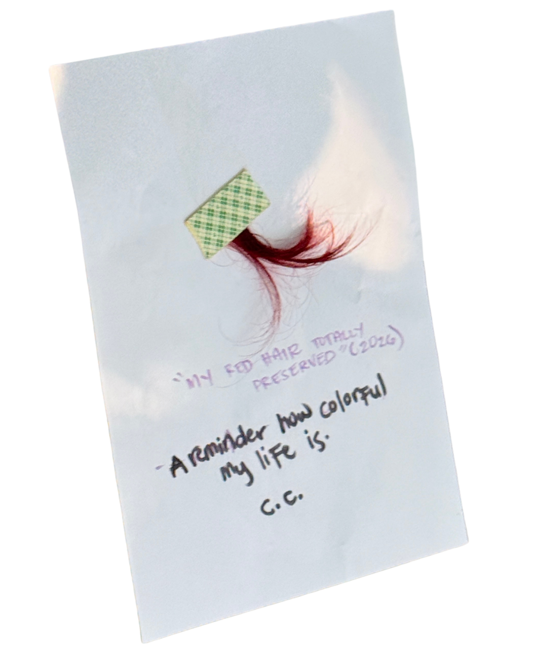 My Red Hair Totally Preserved, 2026 - C.C.