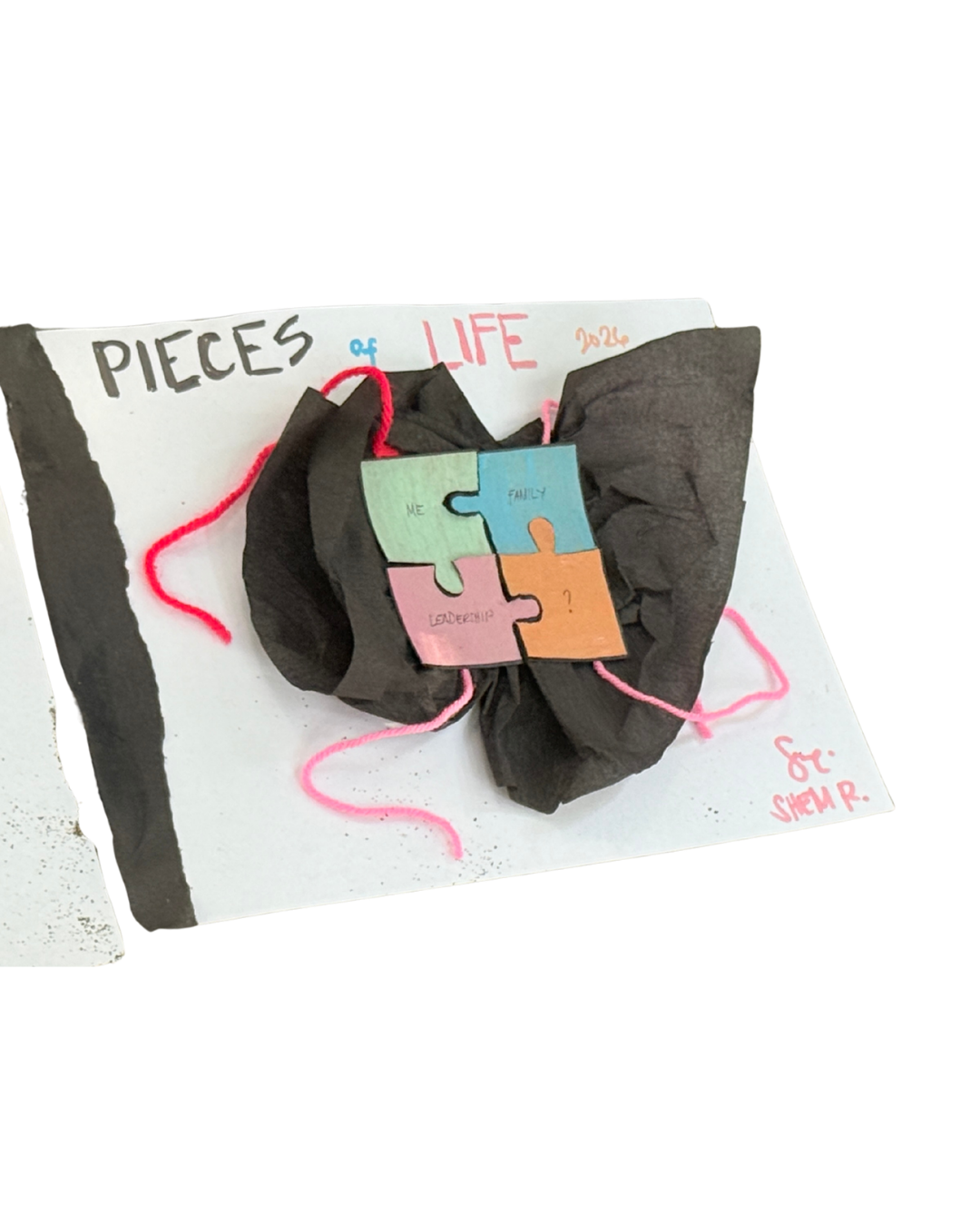 Pieces of Life, 2026 - S.R.