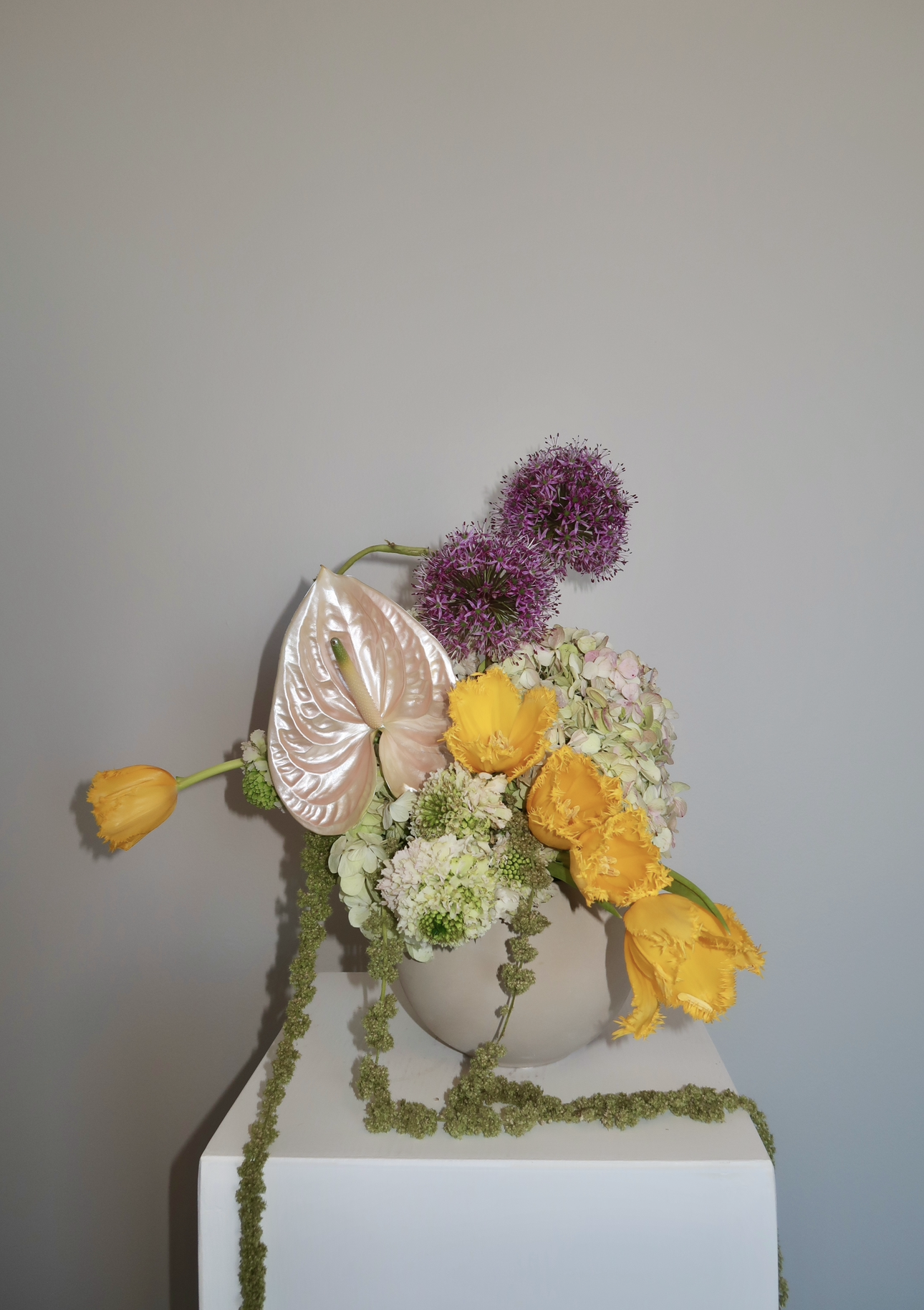 View recent photos 3.png