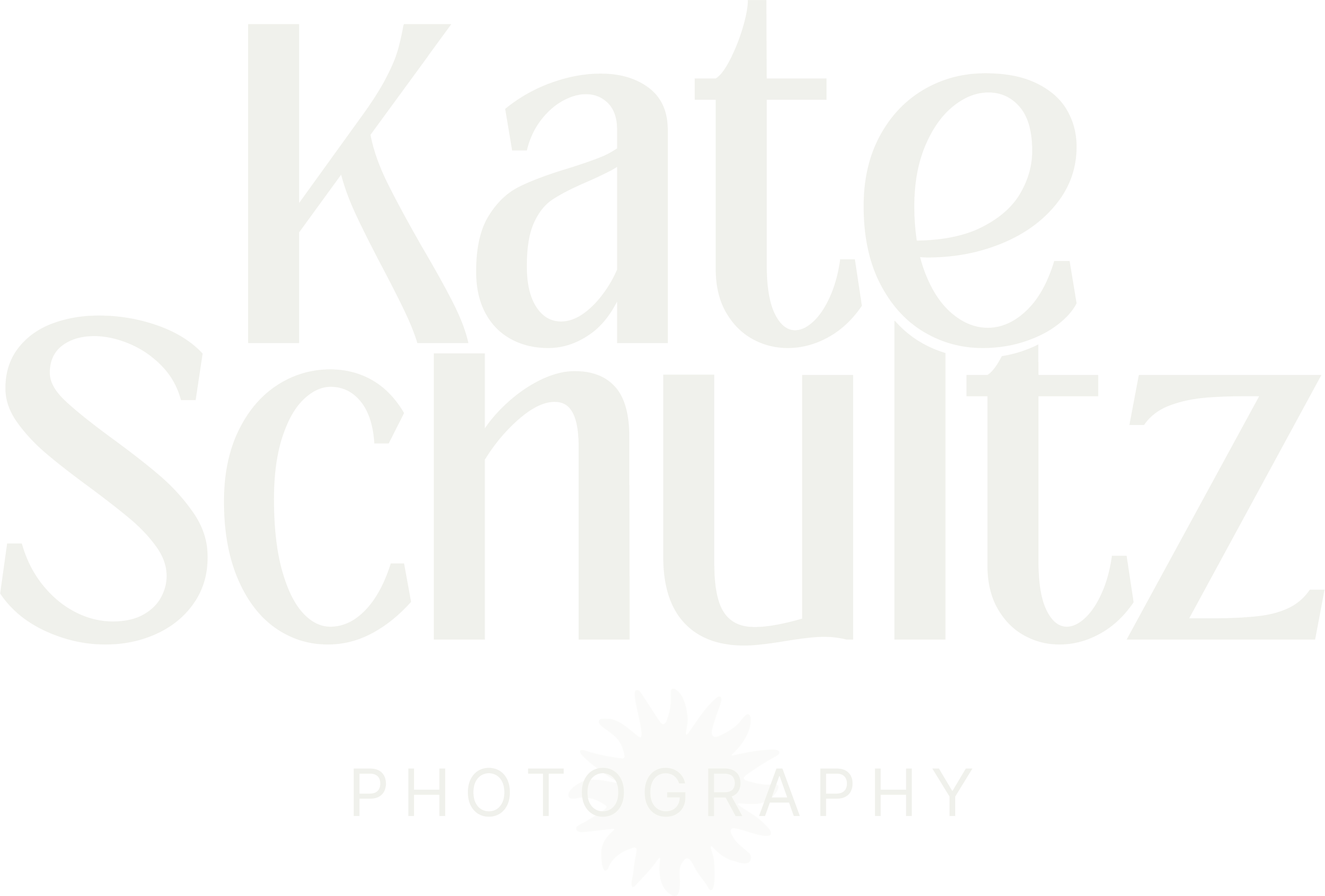 Logo with the name 'Kale Schuitz Photography' in bold, stylized text and a sunburst icon beneath the name.