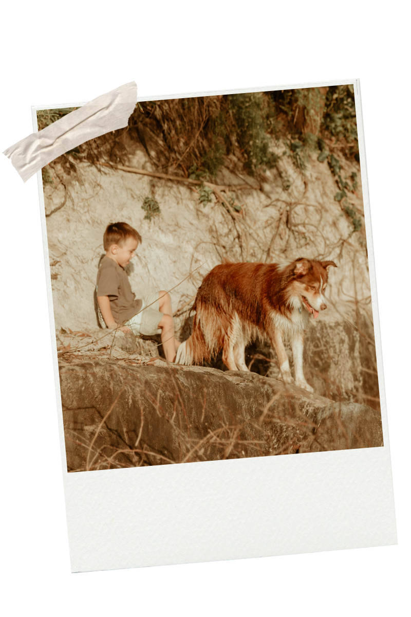 A young boy and a dog sitting on a rock near a dirt slope in a wooded area.