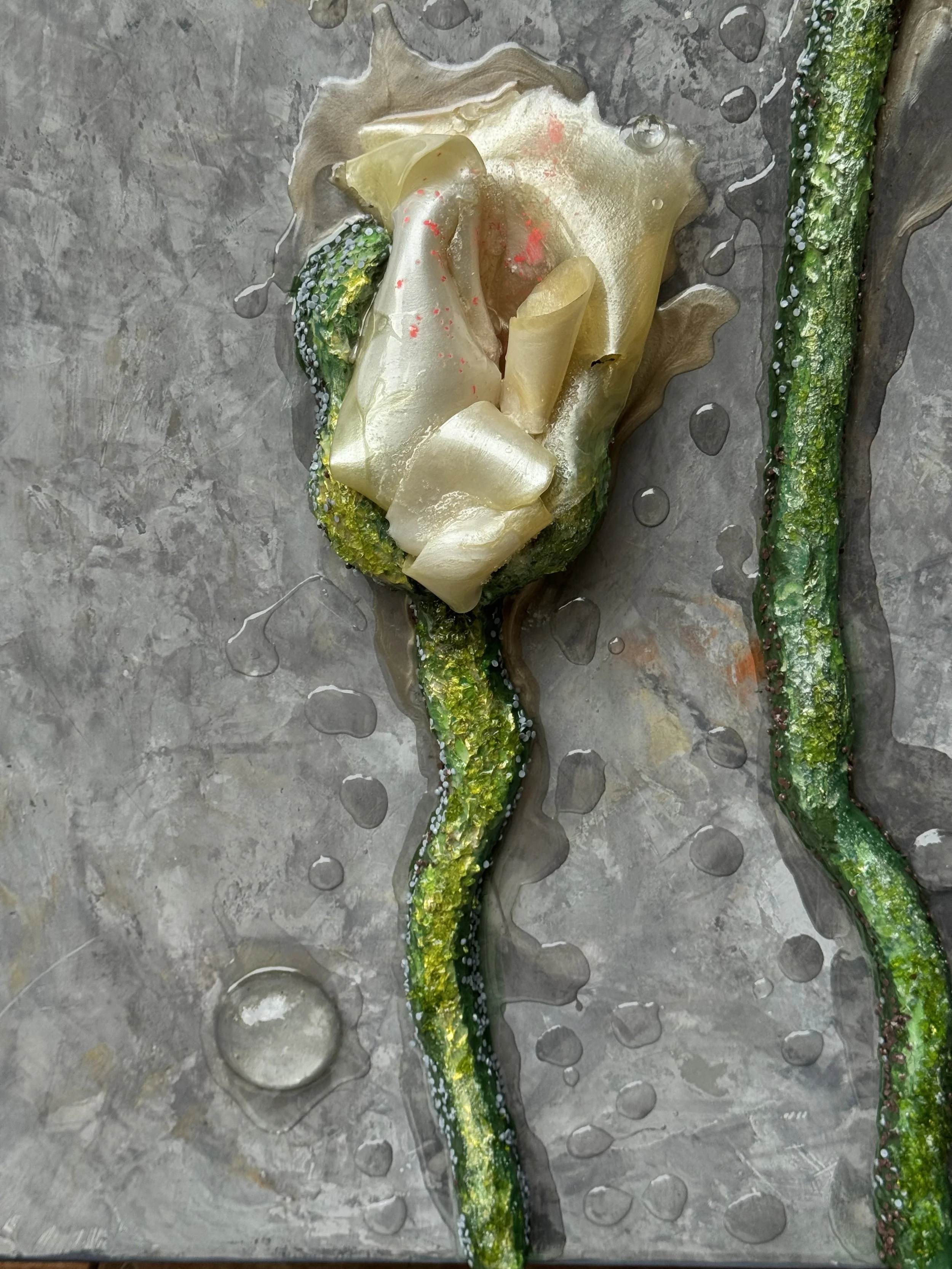 fragmant from she blooms through it al.jpeg