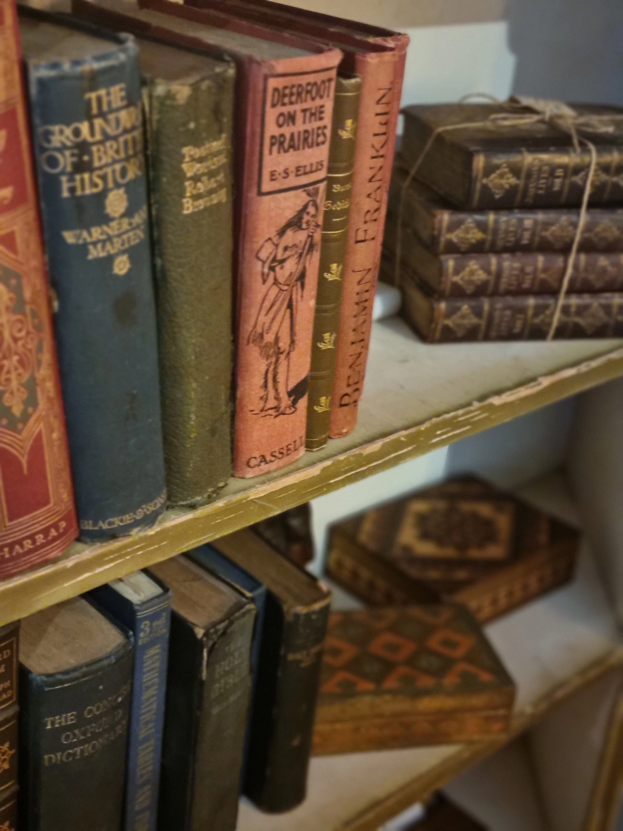 Close-up of a bookshelf with old, worn books, including titles like 'The Ground of British History,' 'Deerfoot on the Prairies,' and 'Frontier Banking.'