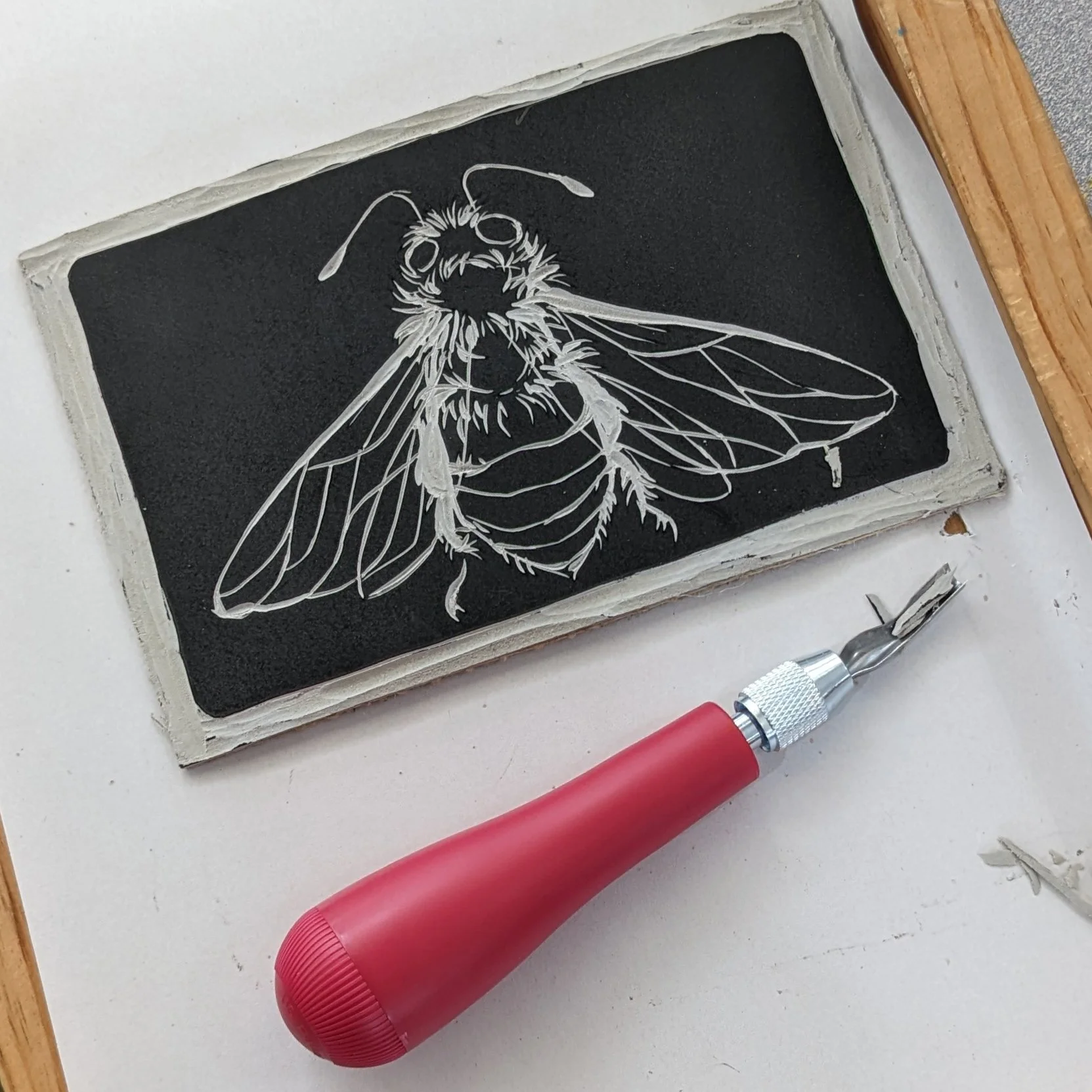 White line drawing of a bee on a black carving block beside a red-handled engraving tool